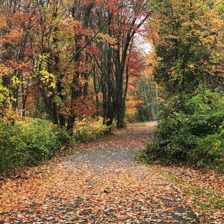 A adventure course for wheelchairs is chalked in at teh beginning of the Bethel Pathway