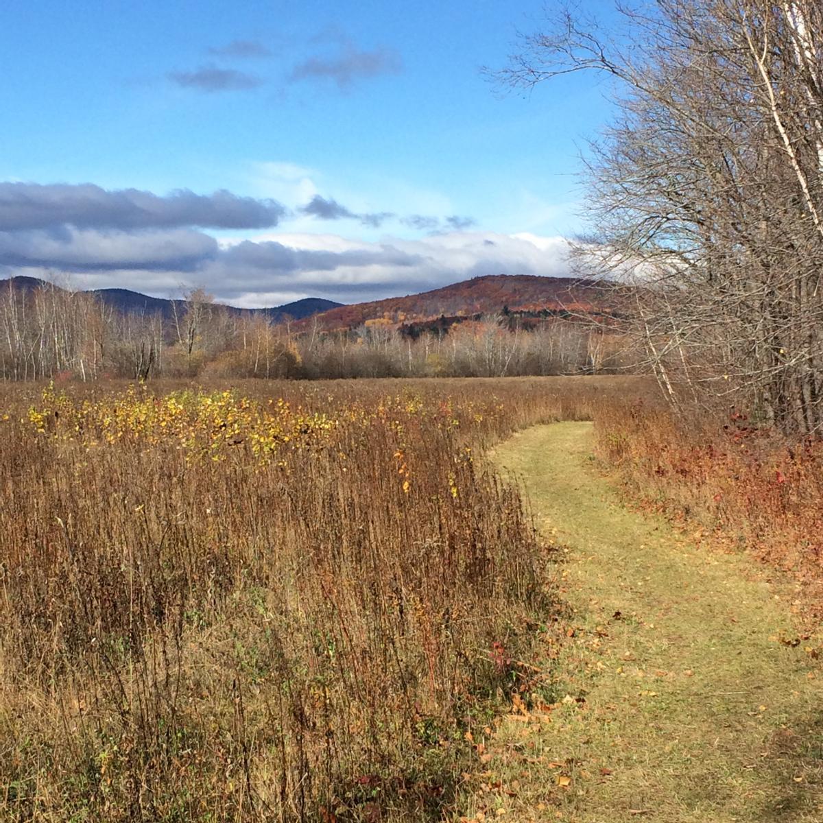 A mowed path travels through a field in the late fall