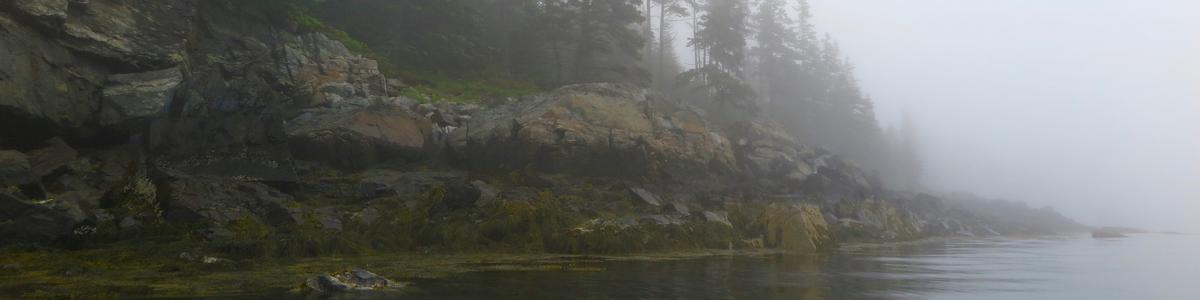 A rocky peninsula appears in the fog