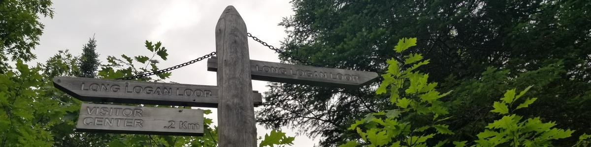 A signpost with signs pointing to trails in three directions