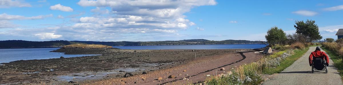 A man using a wheelchair heads down a paved path next to the ocean