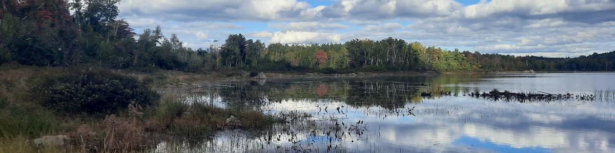 Reflections of clouds on a calm lake