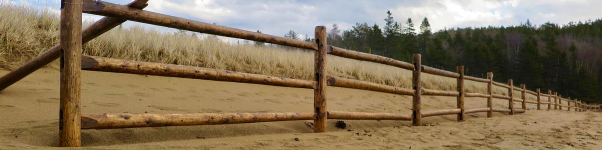 A fence lines the edge of a sandy beach-side trail