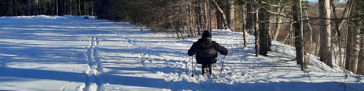 A man using a sit ski skis away through shadows cast by trees