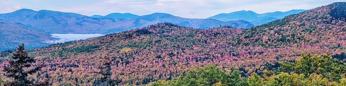 View from the new Bethel Community Forest