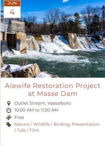 Alewife Restoration Project at Masse Dam