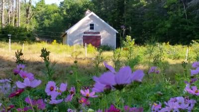 Norumbega Cidery