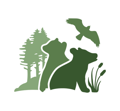 Maine Outdoor School