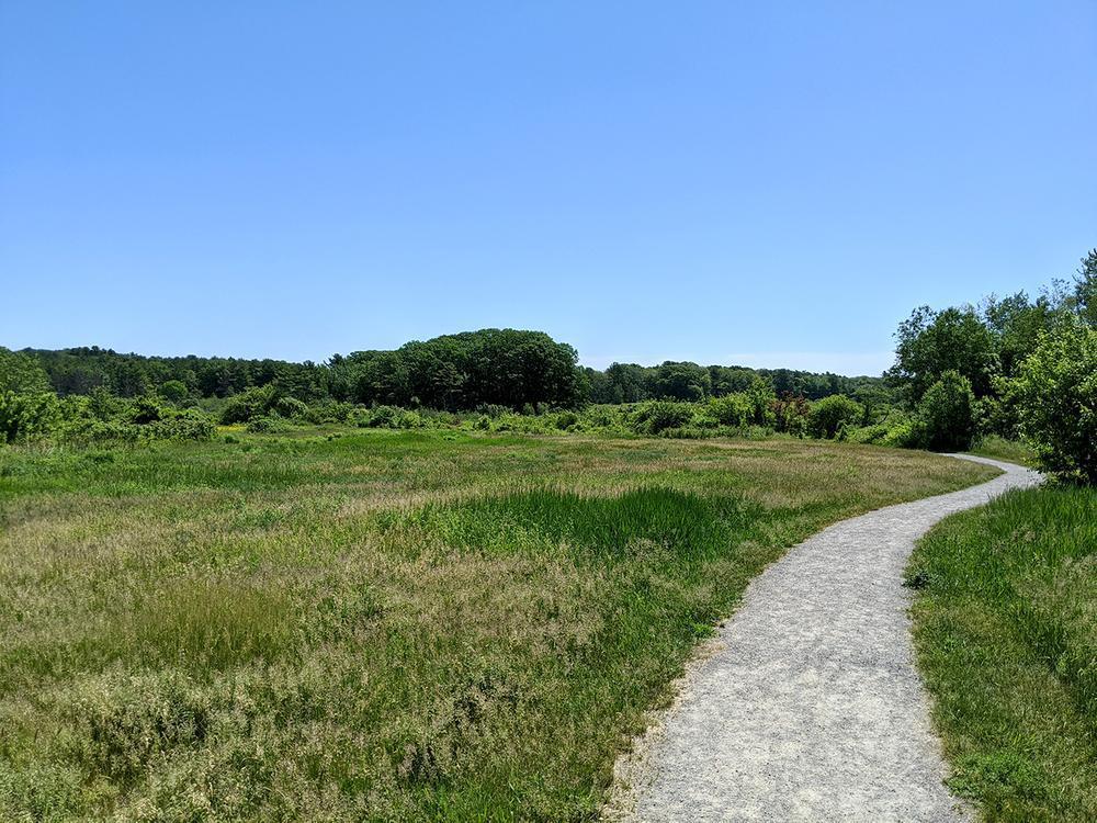 Pleasant Hill Preserve. Photo credit: Michael Hanson