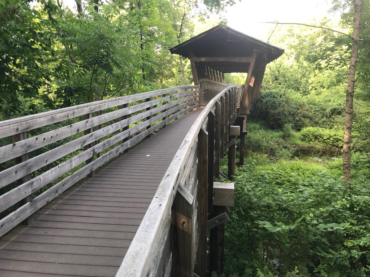 Maine is full of trails with interesting features like this covered walkway at Pondicherry Park in Bridgton