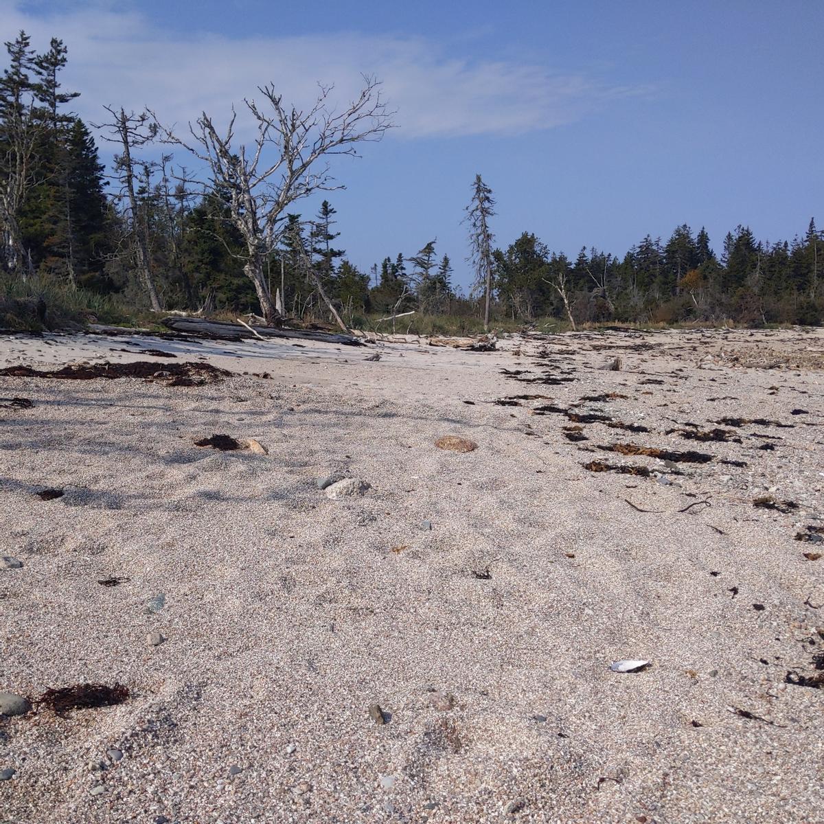 Footprints in the sand show where the trail goes across a dry beach