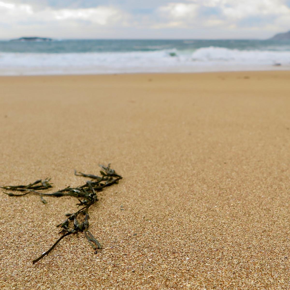 A flat and wet beach