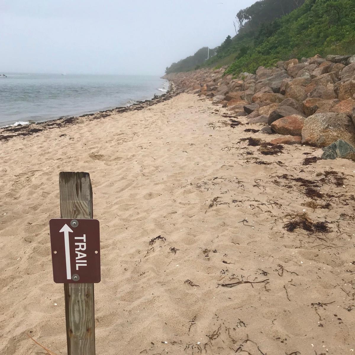 A trail sign with an arrow indicates that the trail goes across a beach