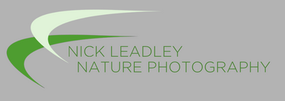 Nick Leadley Nature Photography