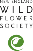 New England Wild Flower Society