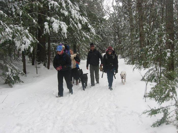 (Credit: Winter hike)