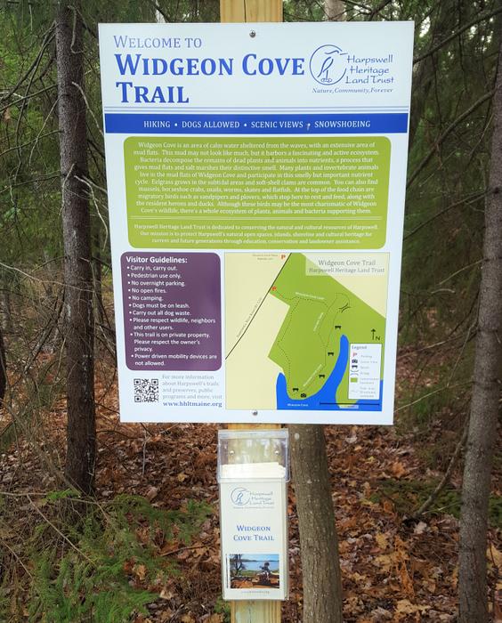 (Credit: Julia McLeod)