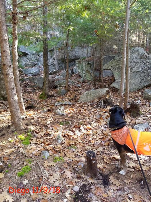 Heart of Poland Conservation Area Trails