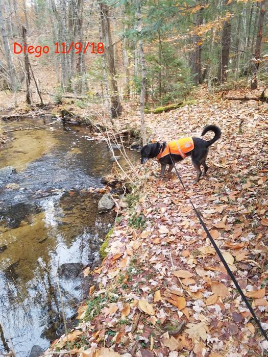 Range Pond State Park - Mountain Bike Trails