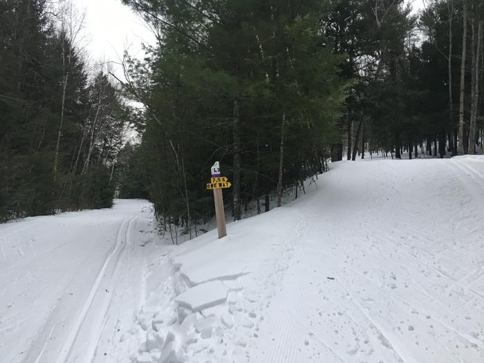 Groomed trails at Bond Brook (Credit: Nicole Grohoski)