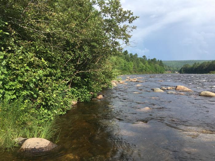 View down river from Dead River Road take-out (Credit: Nicole Grohoski)