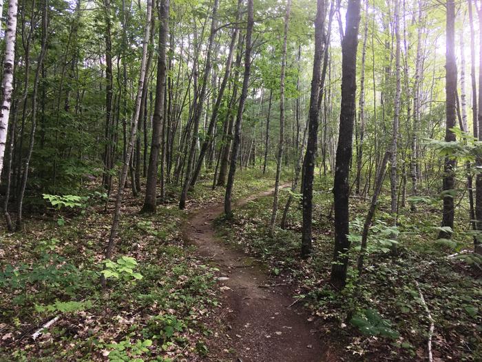 Great surface for mountain biking (Credit: Nicole Grohoski)