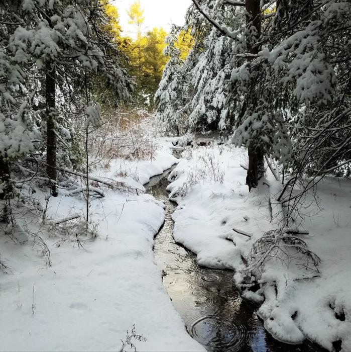 (Credit: Julia McLeod)