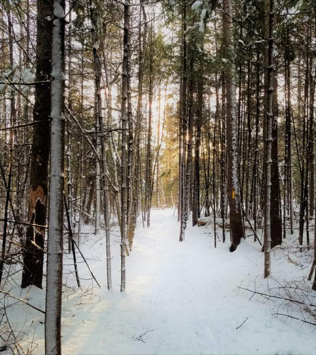 (Credit: Julia McLeod)