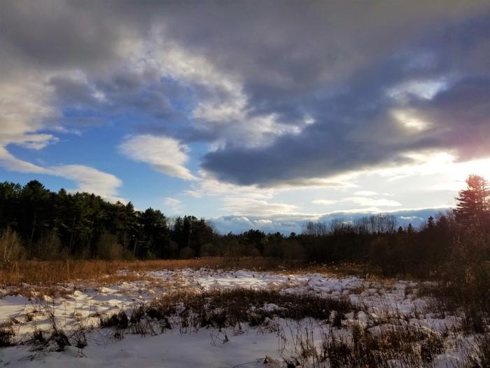 (Credit: Julia McLeod)