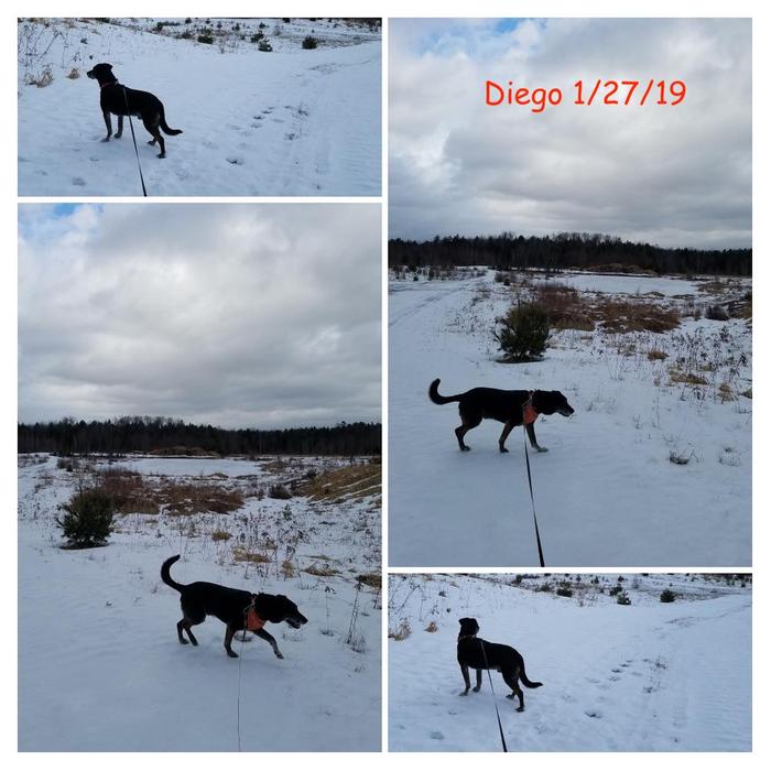 Holman Conservation Area