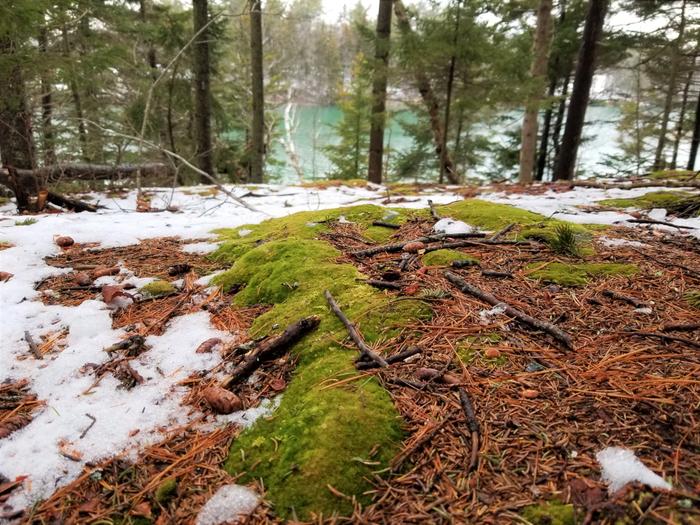 (Credit: Julia McLeod)