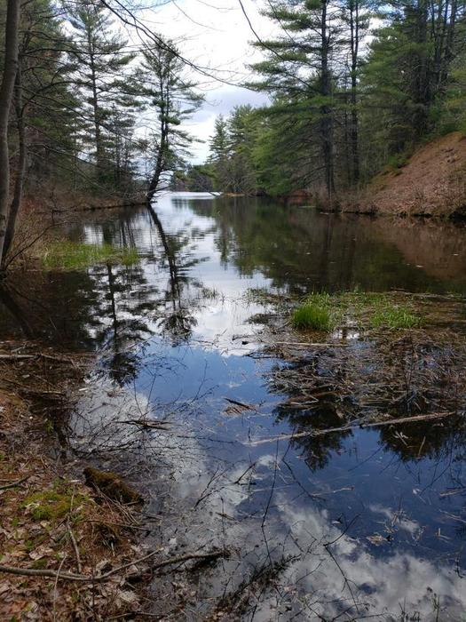 Androscoggin Riverlands State Park - Hiking Trails