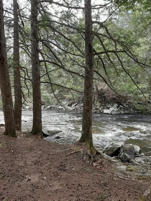 Whitefield Salmon Preserve