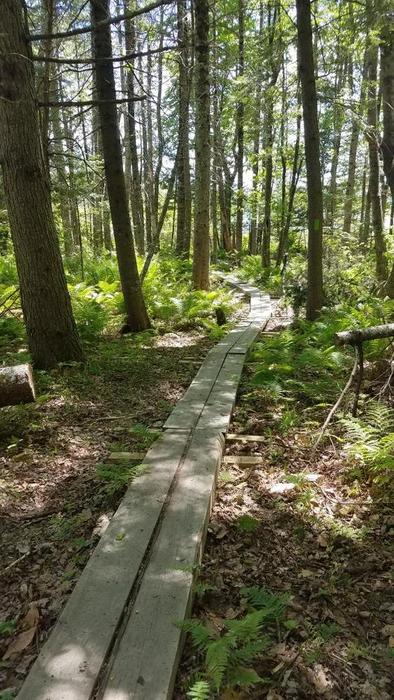 Torsey Pond Nature Preserve and Echo Lake Watershed Preserve