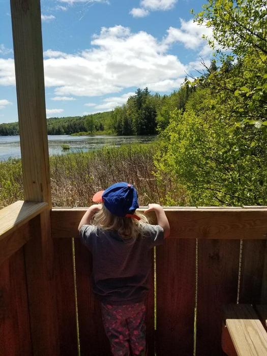 Torsey Pond Nature Preserve and Echo Lake Watershed Preserve