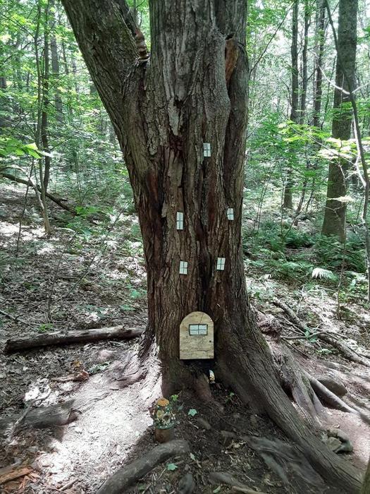 Mount Pisgah Conservation Area Trails