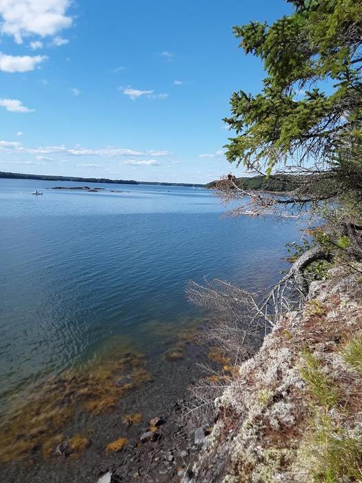 End of the trail looking out onto the water