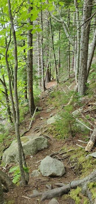 (Credit: Danielle C)