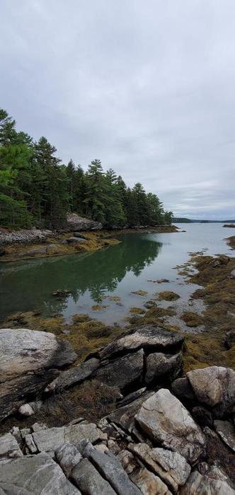 Damariscotta River looking north (Credit: Danielle C)
