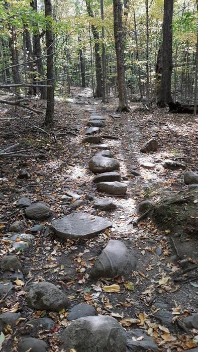 Mount Pisgah Conservation Area Trails