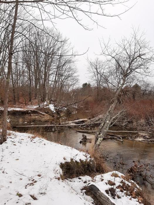 Presumpscot River (Credit: Sarah McDaniel)