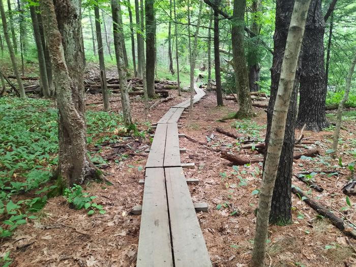 Narrow bridge on trails north of trailhead. (Credit: Enock Glidden)