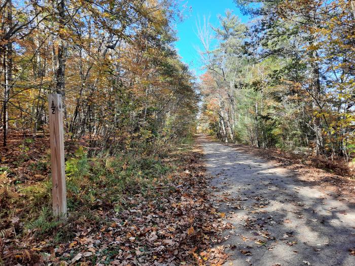 Trail surface and trail marker (Credit: Enock Glidden)