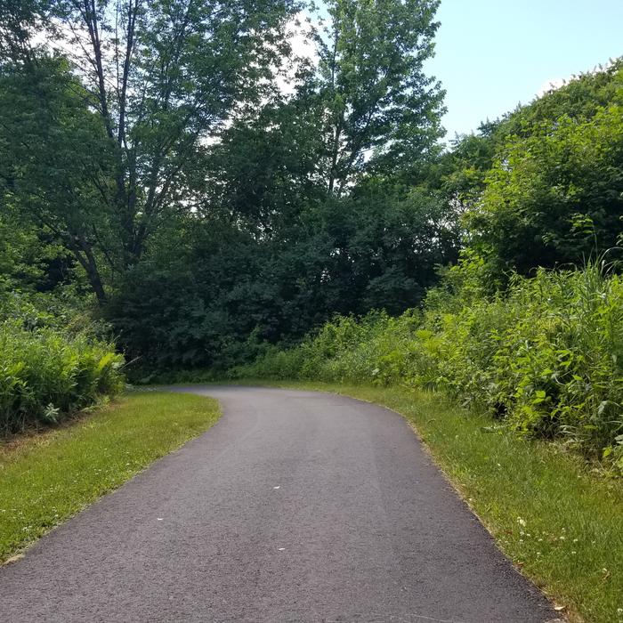 Along the trail (Credit: Enock Glidden)