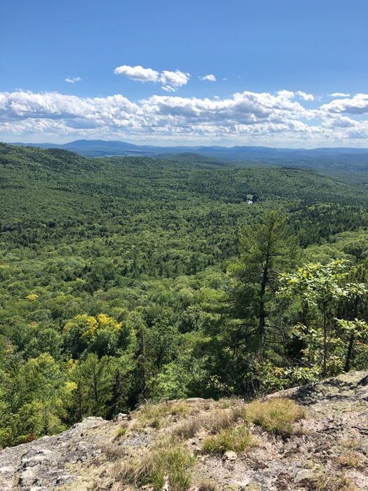 White Mountain National Forest - Deer Hill Network