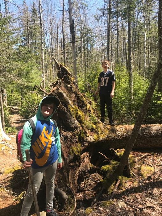 Simon Trail