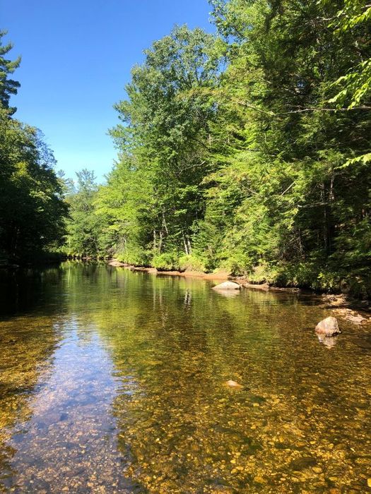 White Mountain National Forest - Deer Hill Network