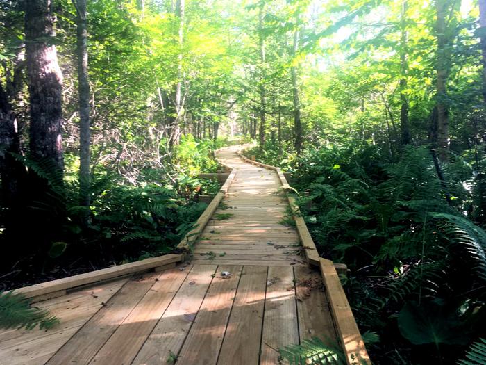 (Credit: Hope Rowan)