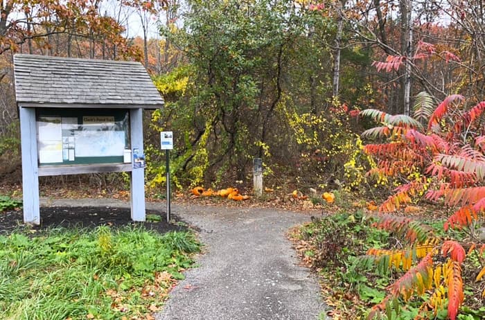 (Credit: Kara Wooldrik)