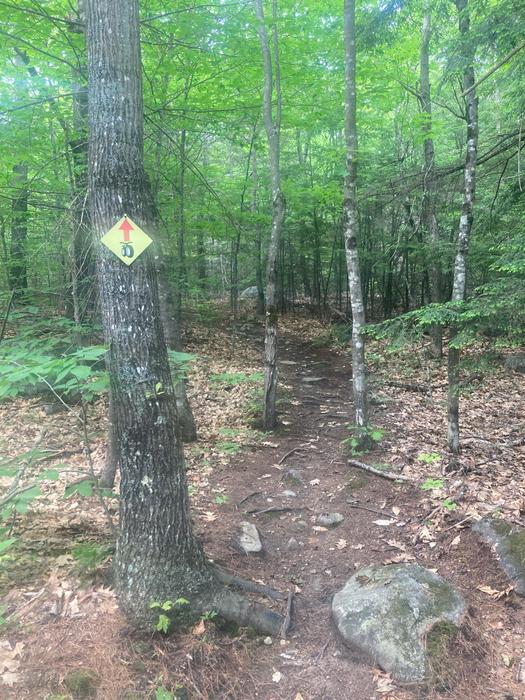 Kennebec Highlands - "A" Trail